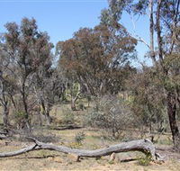 Remembrance Nature Park - SA Accommodation