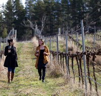 Mount Majura Vineyard - SA Accommodation
