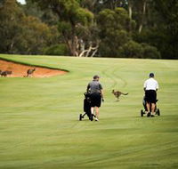 Federal Golf Club - SA Accommodation