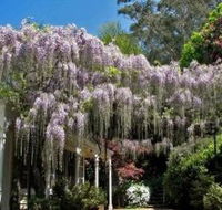 Nooroo Gardens - SA Accommodation
