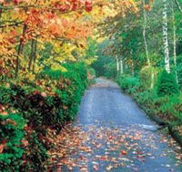 Mount Wilson and Mount Irvine - SA Accommodation