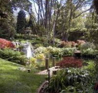 Windyridge Garden Mount Wilson - SA Accommodation