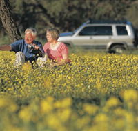 Coalseam Conservation Park - SA Accommodation