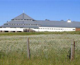 Deeargee Woolshed - SA Accommodation 0