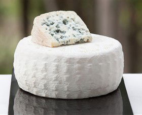 Prom Country Cheese - SA Accommodation 6