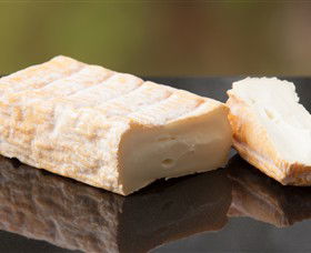 Prom Country Cheese - SA Accommodation 7