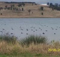 Lake Liddell Recreation Area - SA Accommodation