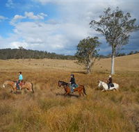 Chapman Valley Horse Riding - SA Accommodation