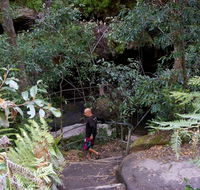 Leura Cascades Fern Bower - SA Accommodation