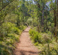 Mares Forest Creek walking track - SA Accommodation