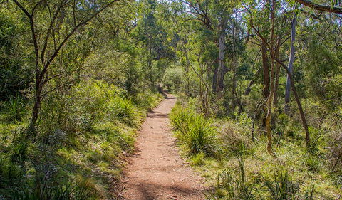 Mares Forest Creek Walking Track - SA Accommodation 0