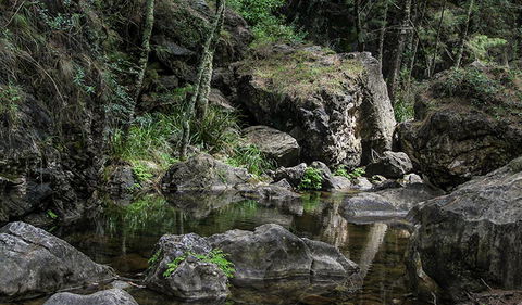 Mares Forest Creek Walking Track - SA Accommodation 1