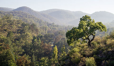 Mares Forest Creek Walking Track - SA Accommodation 3