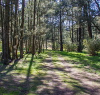 Wombeyan Waterfall walking track - SA Accommodation