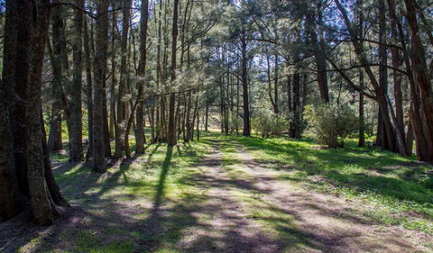 Wombeyan Waterfall Walking Track - SA Accommodation 0