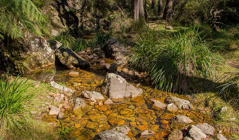 Wombeyan Waterfall Walking Track - SA Accommodation 1