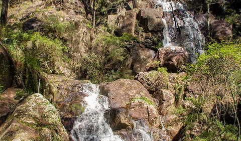 Wombeyan Waterfall Walking Track - SA Accommodation 3