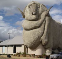 Big Merino - SA Accommodation