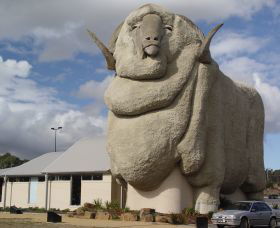 Big Merino - SA Accommodation 0