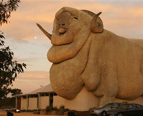 Big Merino - SA Accommodation 3