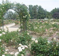 Victoria Park Rose Garden - SA Accommodation