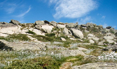 Mount Stillwell Walk - SA Accommodation 1