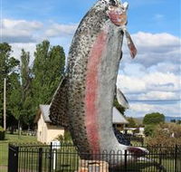 Big Trout - SA Accommodation