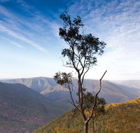 Salisbury Waters walking track - SA Accommodation