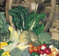 Mulgowie Real Farmers Markets - SA Accommodation