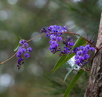 Mann River Nature Reserve - SA Accommodation