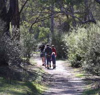 Syd's Rapids and Aboriginal Heritage Trail Avon Valley - SA Accommodation