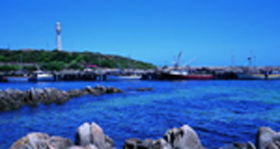 King Island TAS SA Accommodation