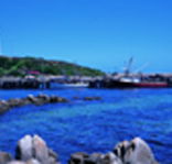 King Island Dairies - SA Accommodation