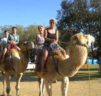 Calamunnda Camel Farm  - SA Accommodation