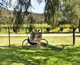 Stomp! Wines - SA Accommodation 3