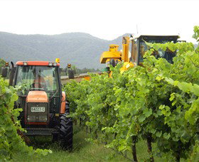 Stomp! Wines - SA Accommodation 8