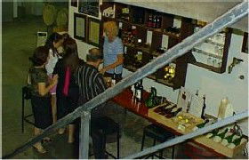 John Kosovich Wines - SA Accommodation 1