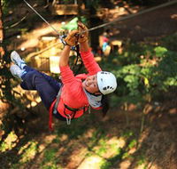 Trees Adventure Grose River Park - SA Accommodation