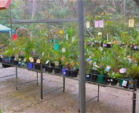Glenbrook Native Plant Reserve And Nursery - SA Accommodation 3