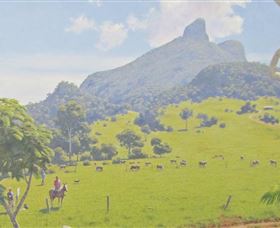 Aitkens Australia In The Round - SA Accommodation 2