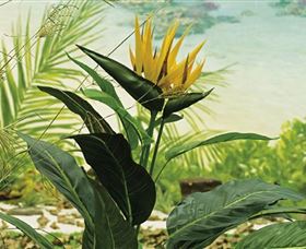 Aitkens Australia In The Round - SA Accommodation 0