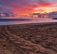 Mon Repos Beach - SA Accommodation