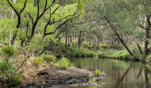 Koreelah National Park - SA Accommodation 1
