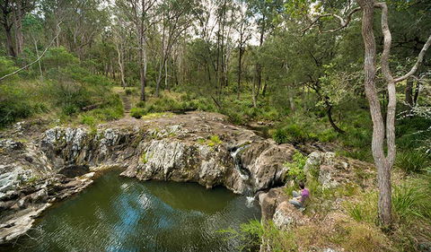 Koreelah National Park - SA Accommodation 2