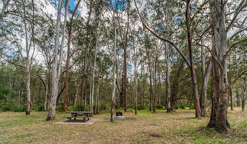 Koreelah National Park - SA Accommodation 3