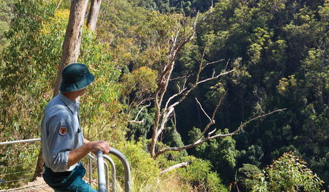 Lyrebird Falls Walking Track - SA Accommodation 1
