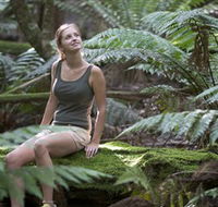 Barrington Tops National Park - Honeysuckle Forest Track - SA Accommodation
