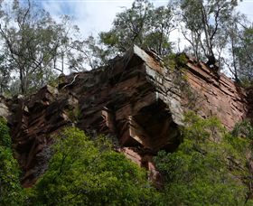 Mitchell River Walking Track - SA Accommodation 2