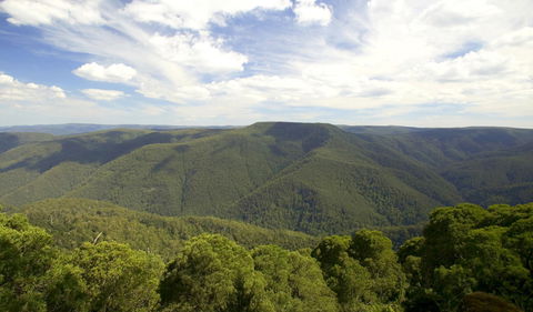 Barrington Tops National Park - SA Accommodation 0