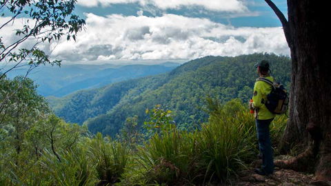 Barrington Tops National Park - SA Accommodation 3